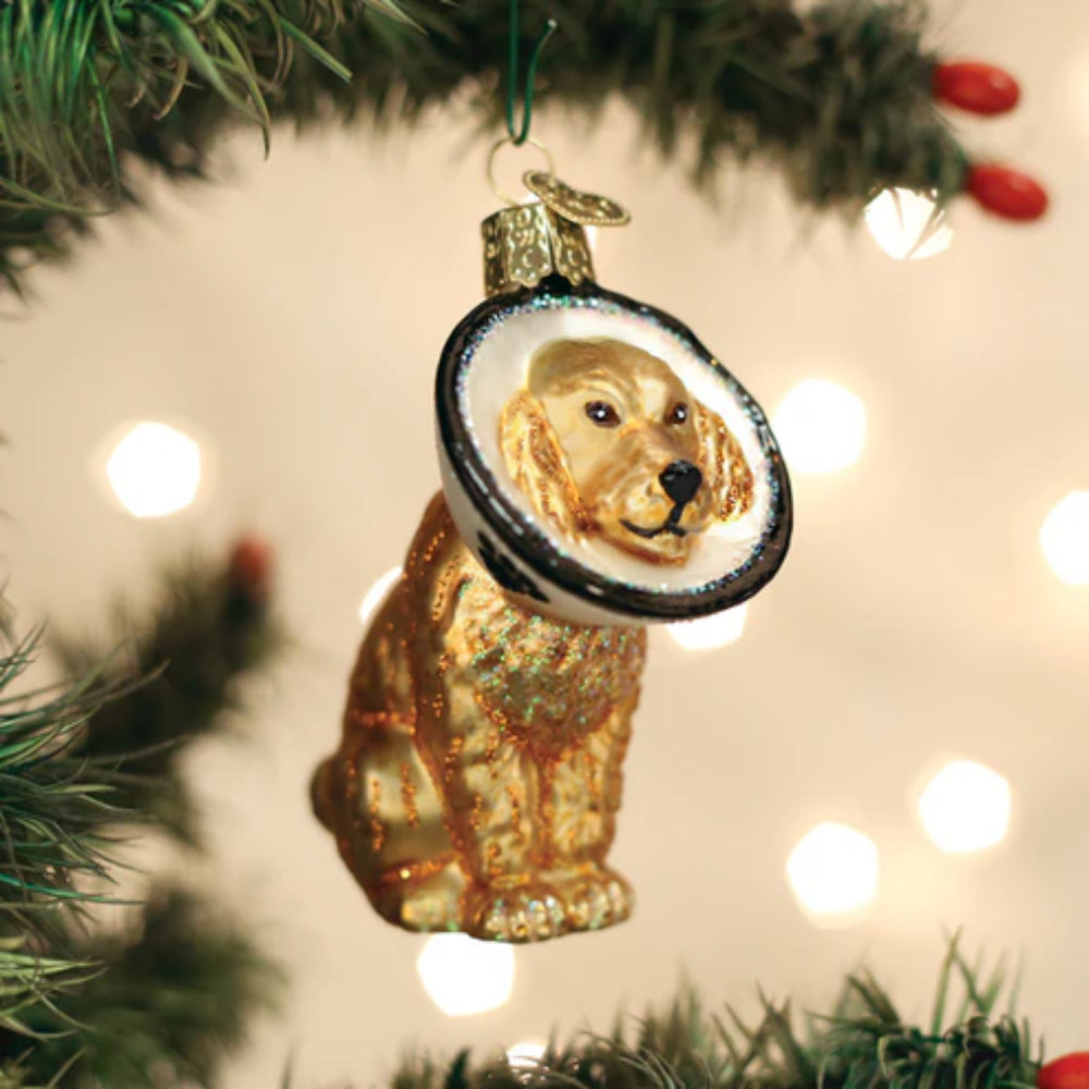 Old World Christmas Cone Of Shame Dog Ornament