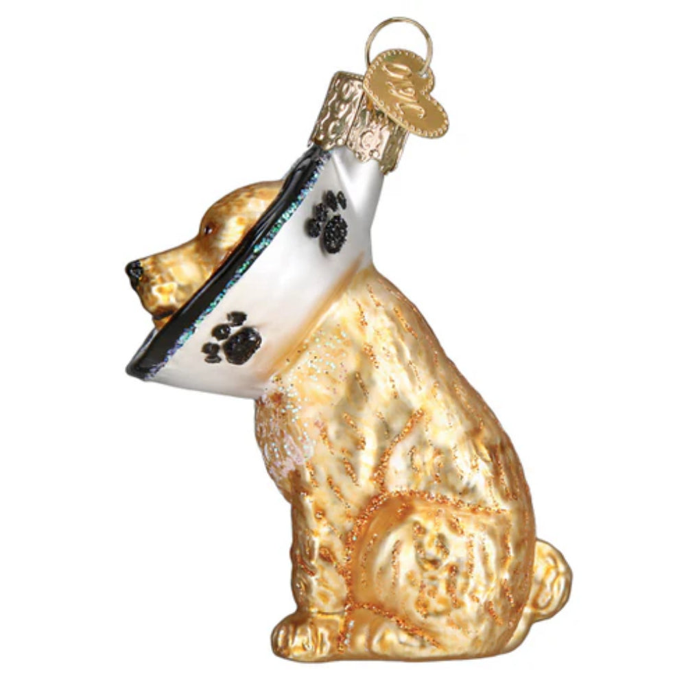 Old World Christmas Cone Of Shame Dog Ornament