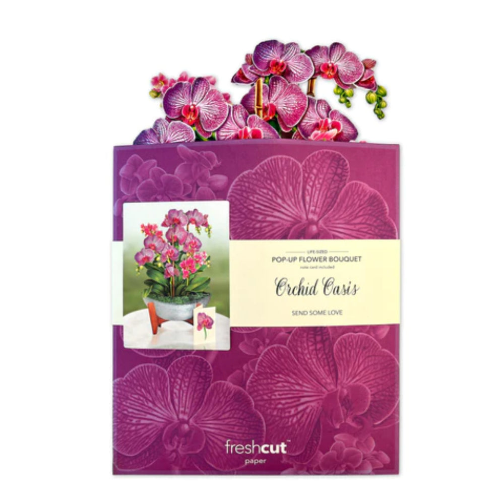 FreshCut Paper Flower PopUp Bouquet Greeting Cards Set  