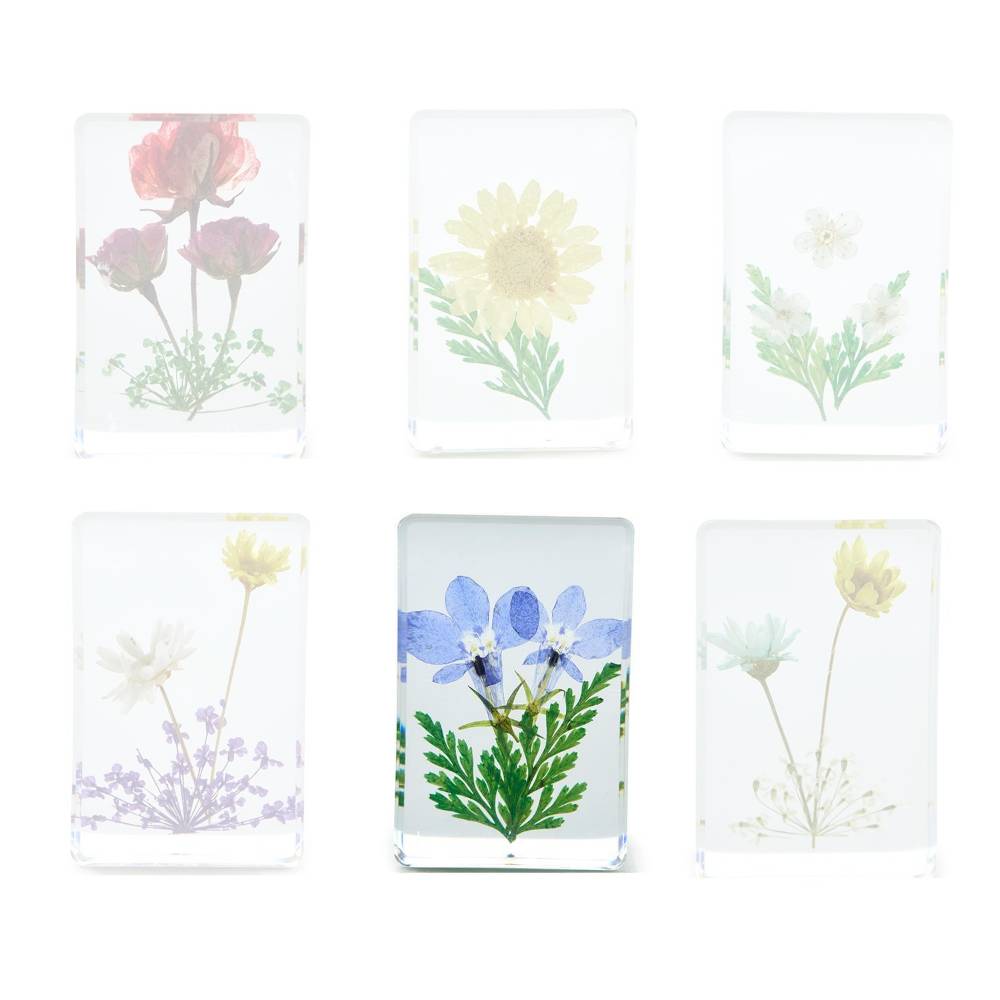 Two's Company Wildflower Pressed Floral Keepsake in Gift Box