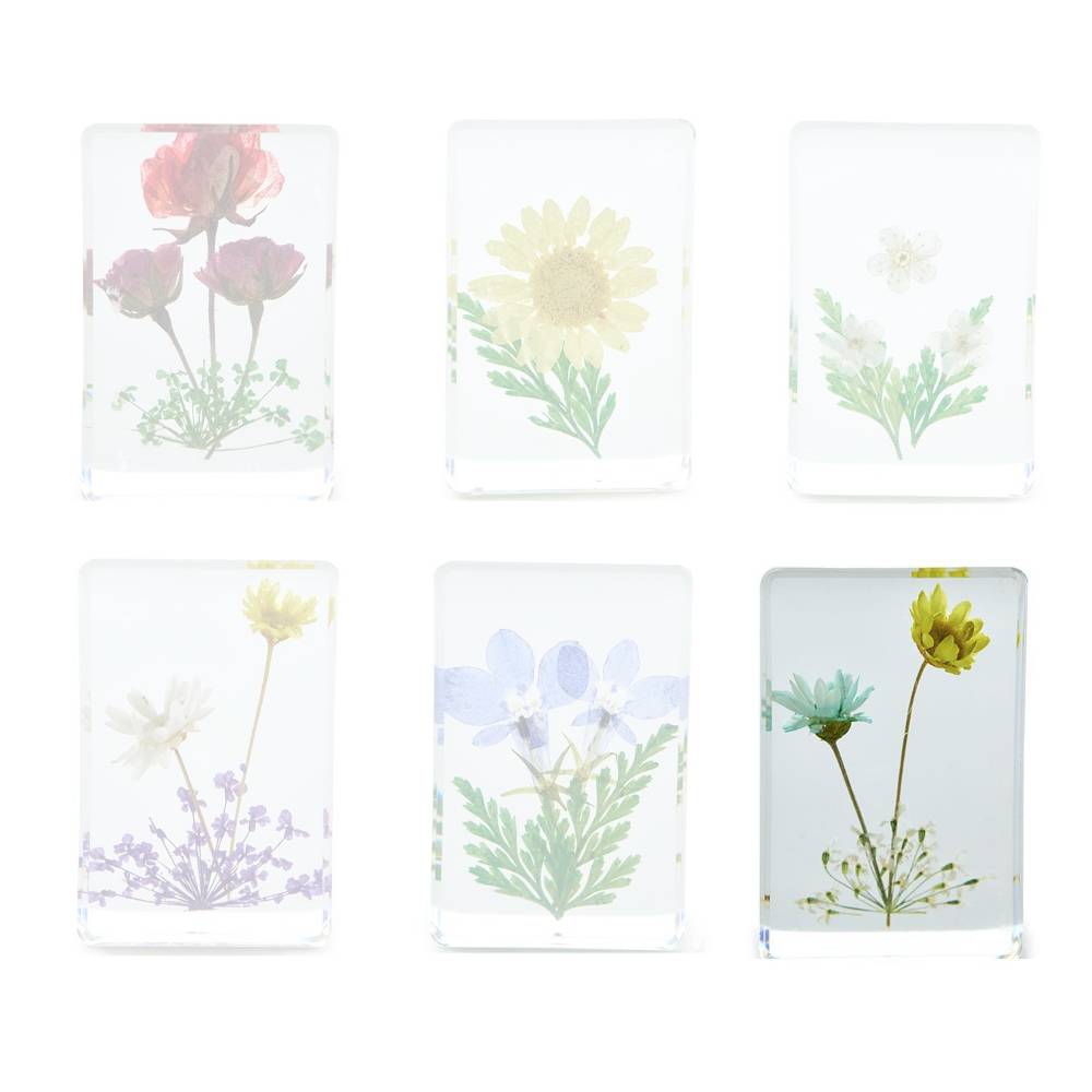 Two's Company Wildflower Pressed Floral Keepsake in Gift Box