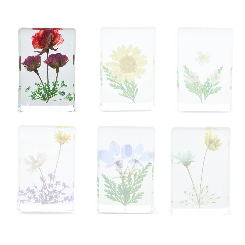 Two's Company Wildflower Pressed Floral Keepsake in Gift Box