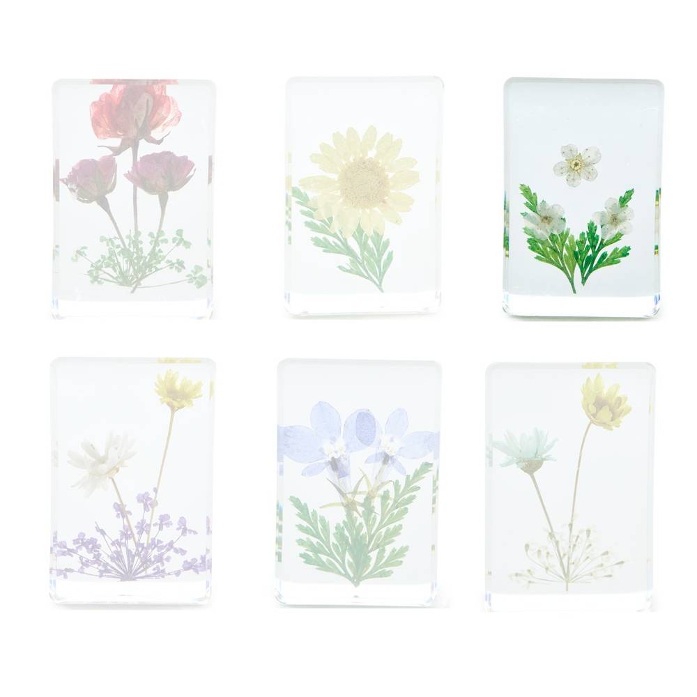 Two's Company Wildflower Pressed Floral Keepsake in Gift Box