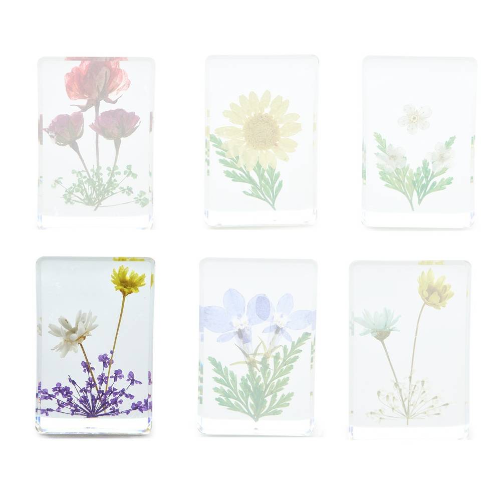 Two's Company Wildflower Pressed Floral Keepsake in Gift Box