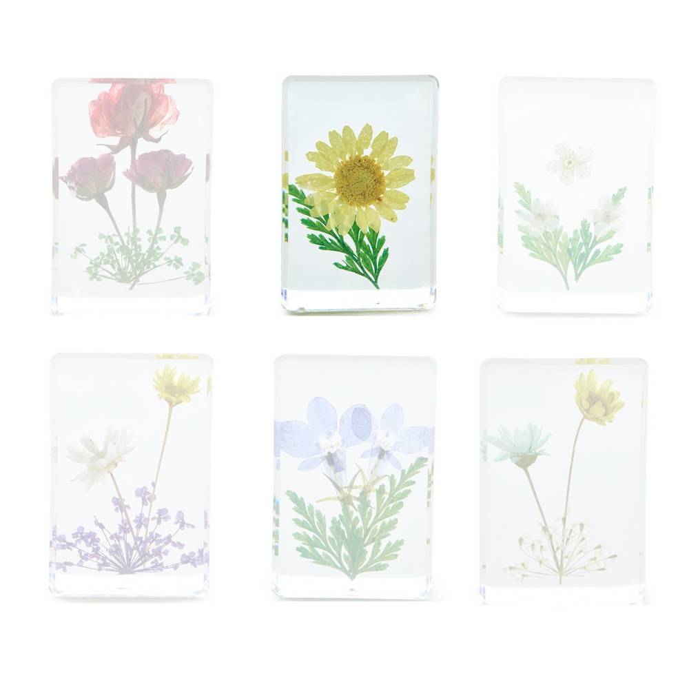 Two's Company Wildflower Pressed Floral Keepsake in Gift Box