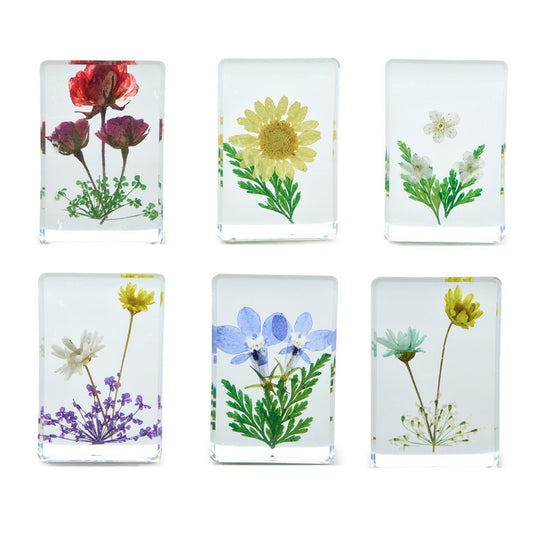 Two's Company Wildflower Pressed Floral Keepsake in Gift Box