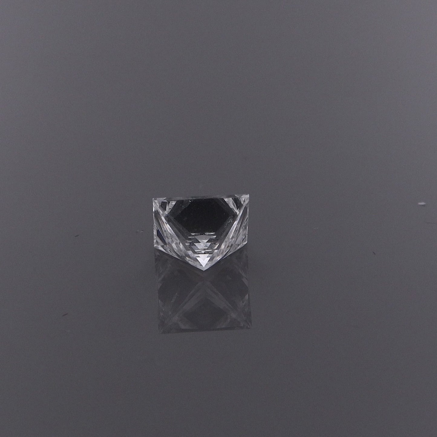 Princess 1.01ct EVS1 Diamond