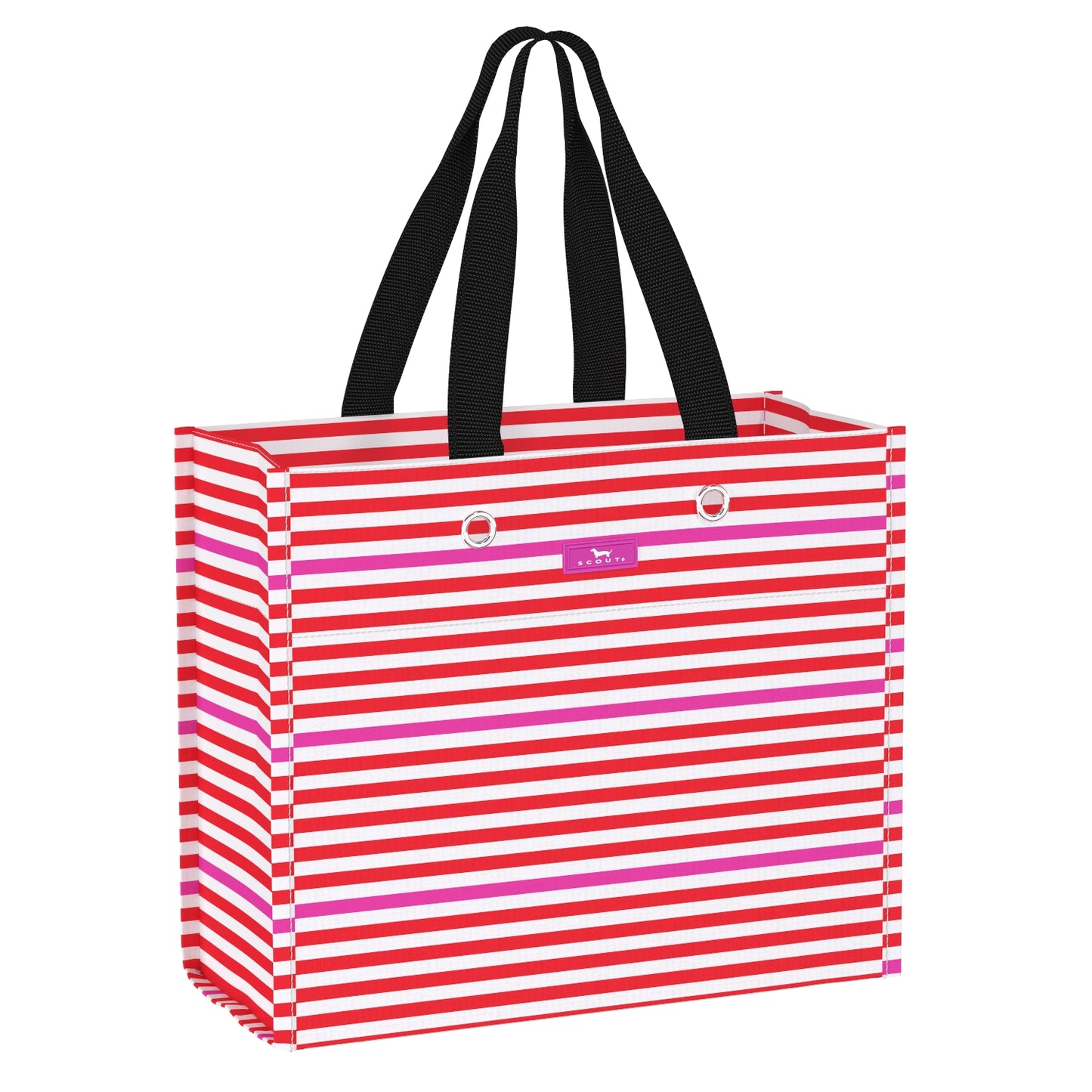 Scout Large Package Gift Bag - Holiday 2024