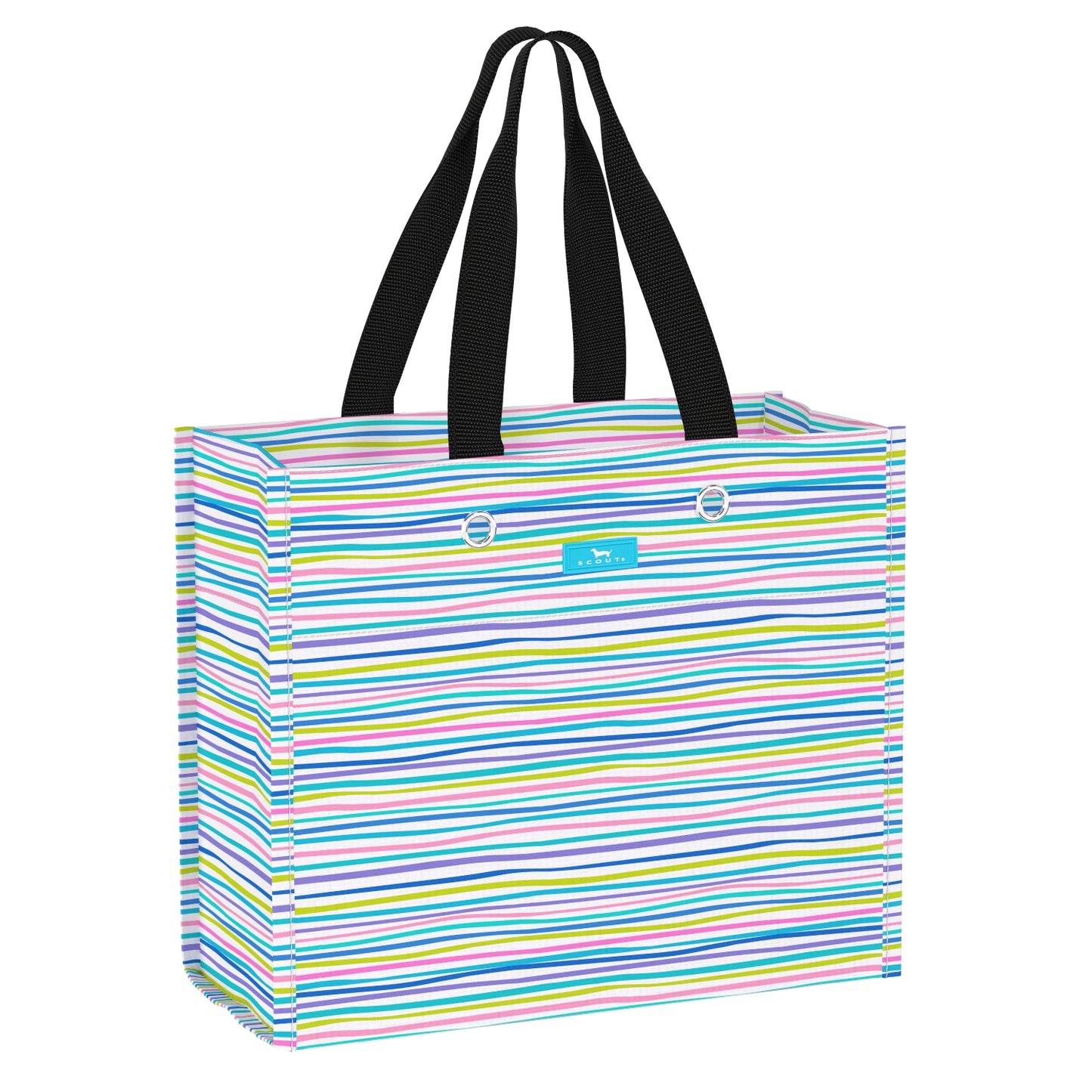 Scout Large Package Gift Bag - Spring 2024