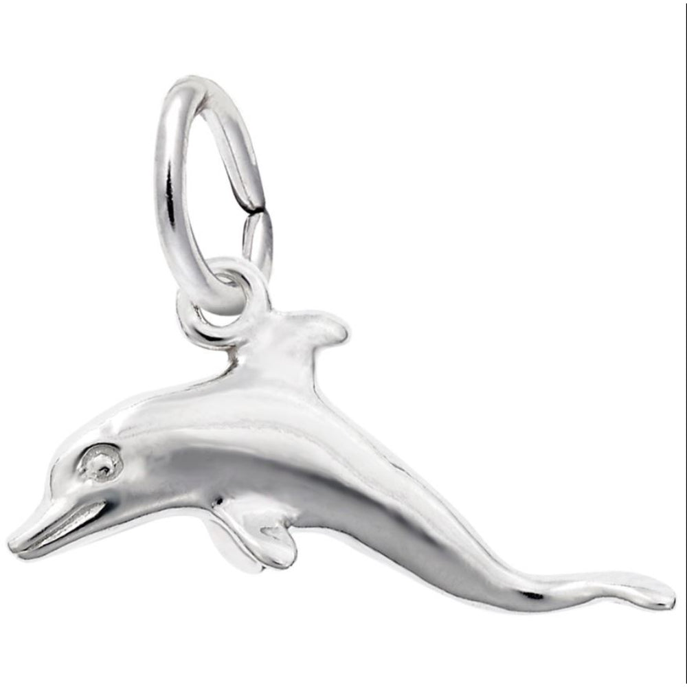 Sterling Silver Dolphin Charm