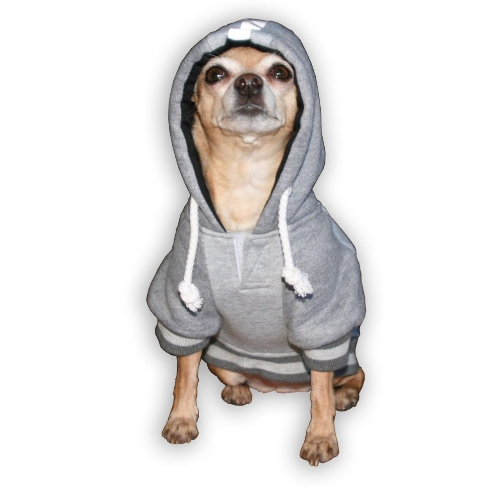 ravens dog hoodie